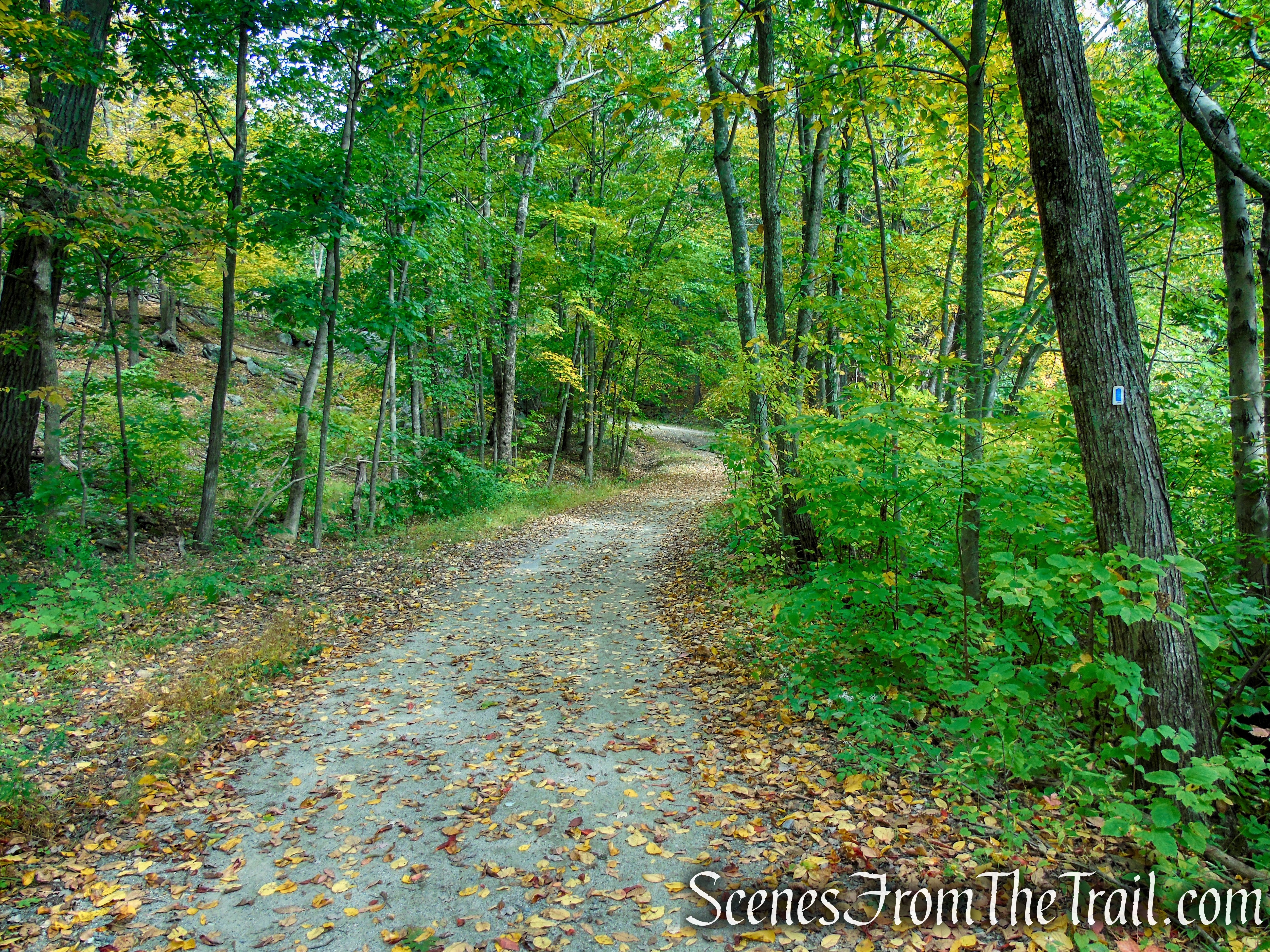 Ramapo Lake Loop - Ramapo Mountain State Forest