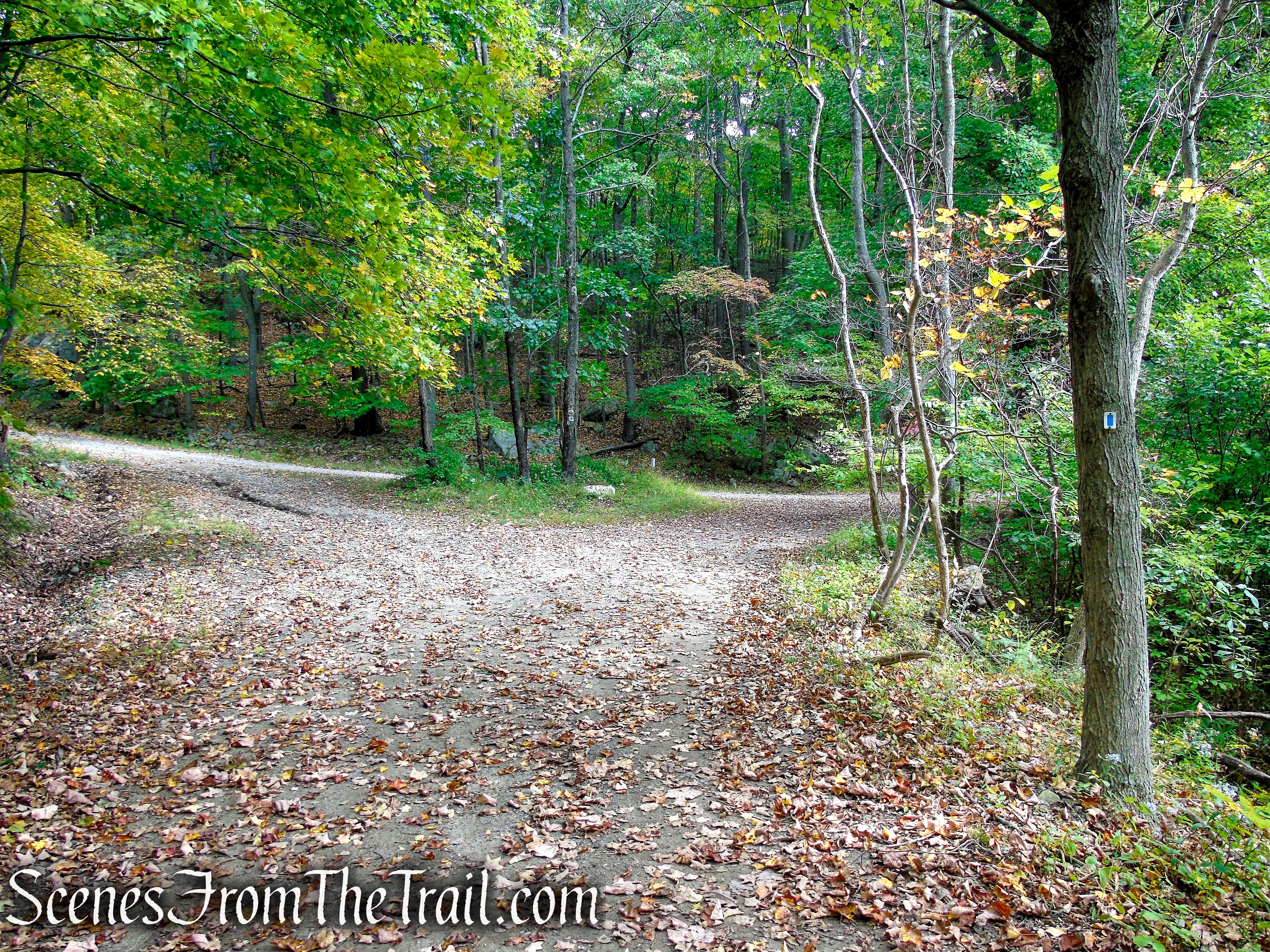 Ramapo Lake Loop - Ramapo Mountain State Forest