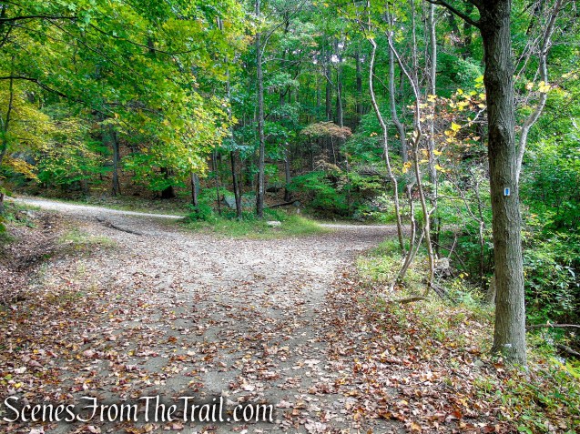 Ramapo Lake Loop - Ramapo Mountain State Forest