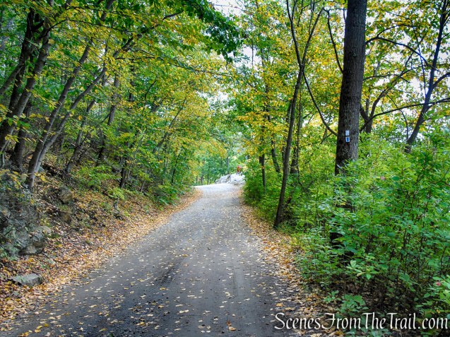 Ramapo Lake Loop - Ramapo Mountain State Forest