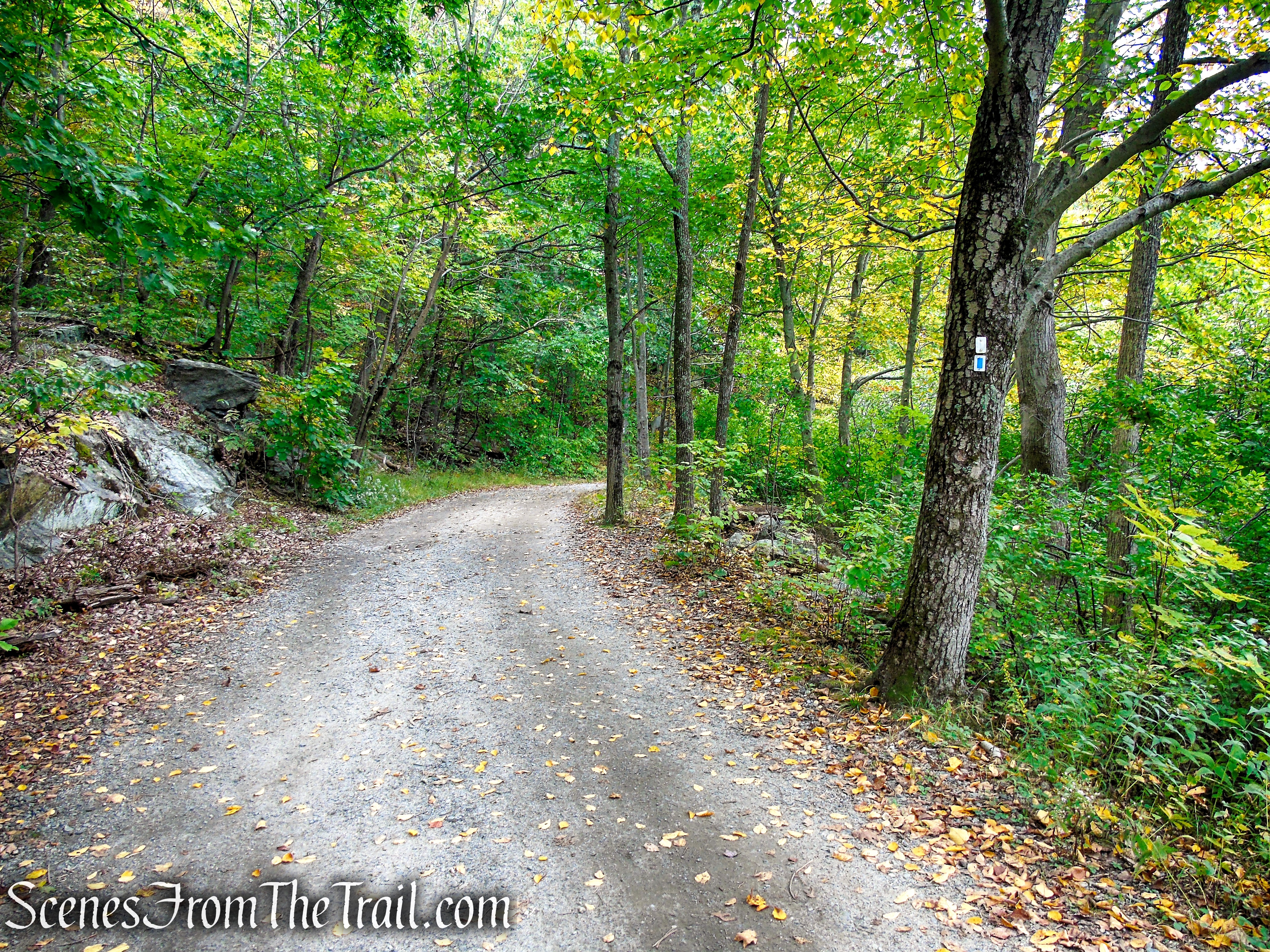 Ramapo Lake Loop - Ramapo Mountain State Forest