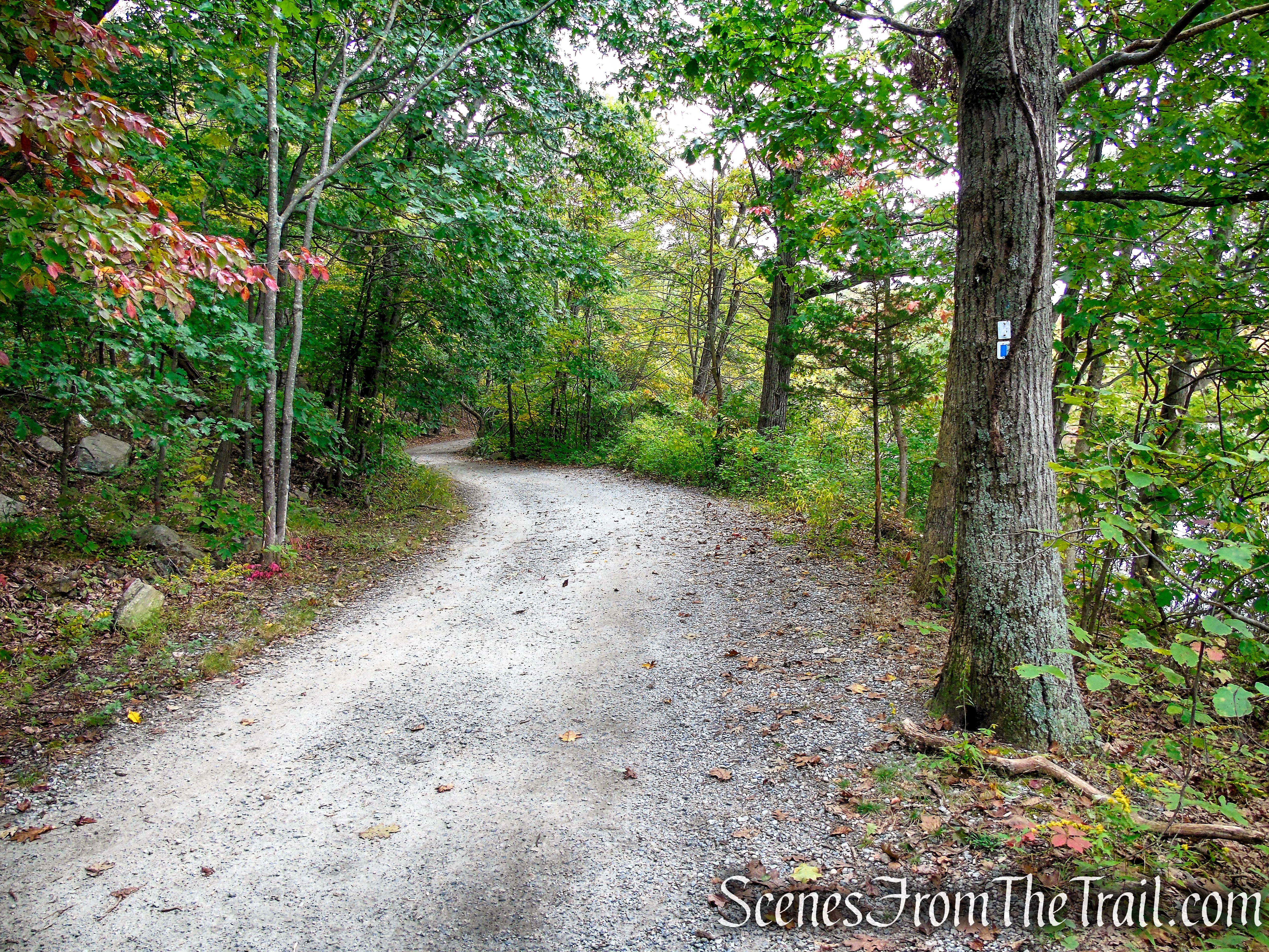 Ramapo Lake Loop - Ramapo Mountain State Forest