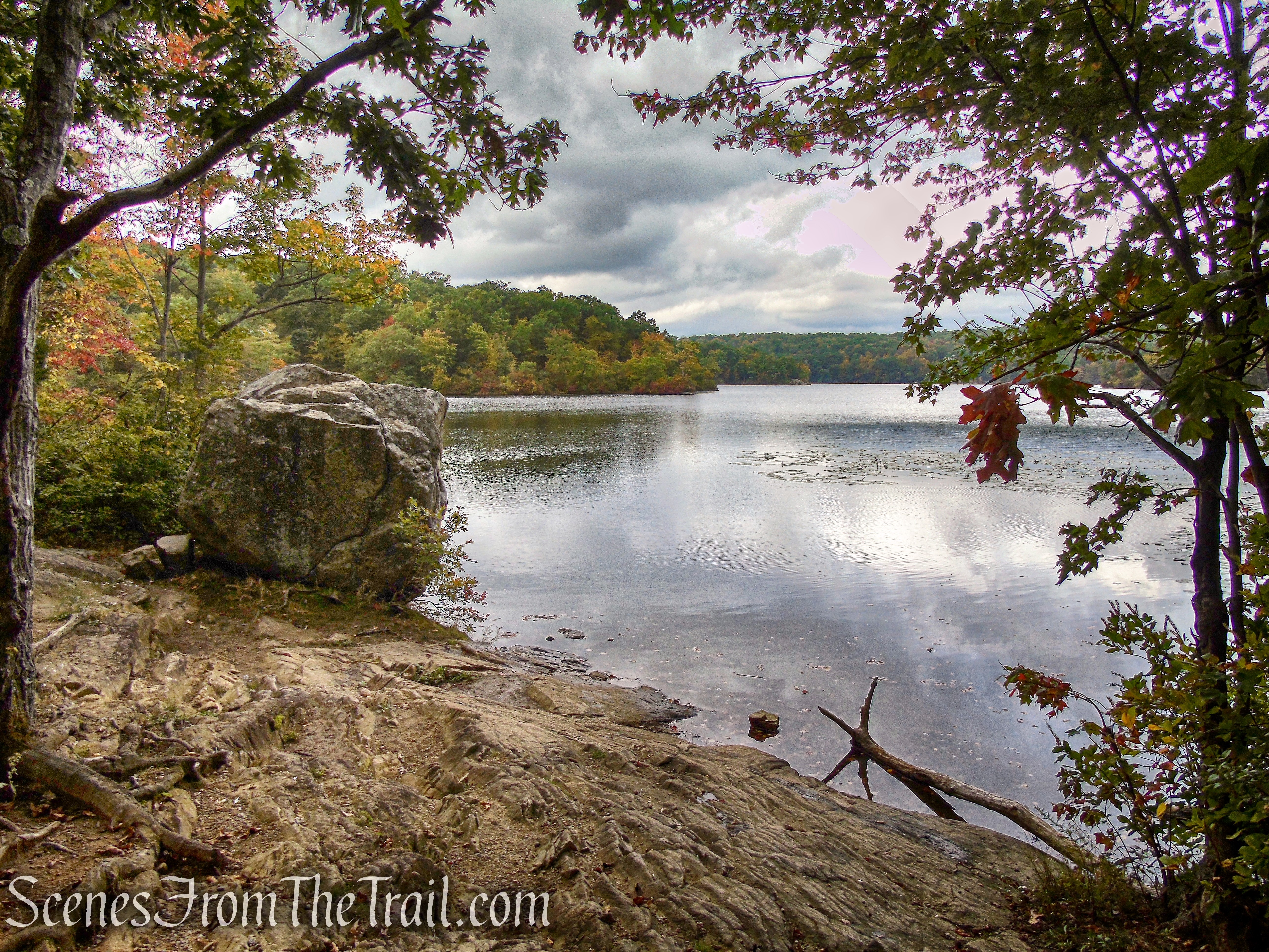 Ramapo Lake Loop - Ramapo Mountain State Forest