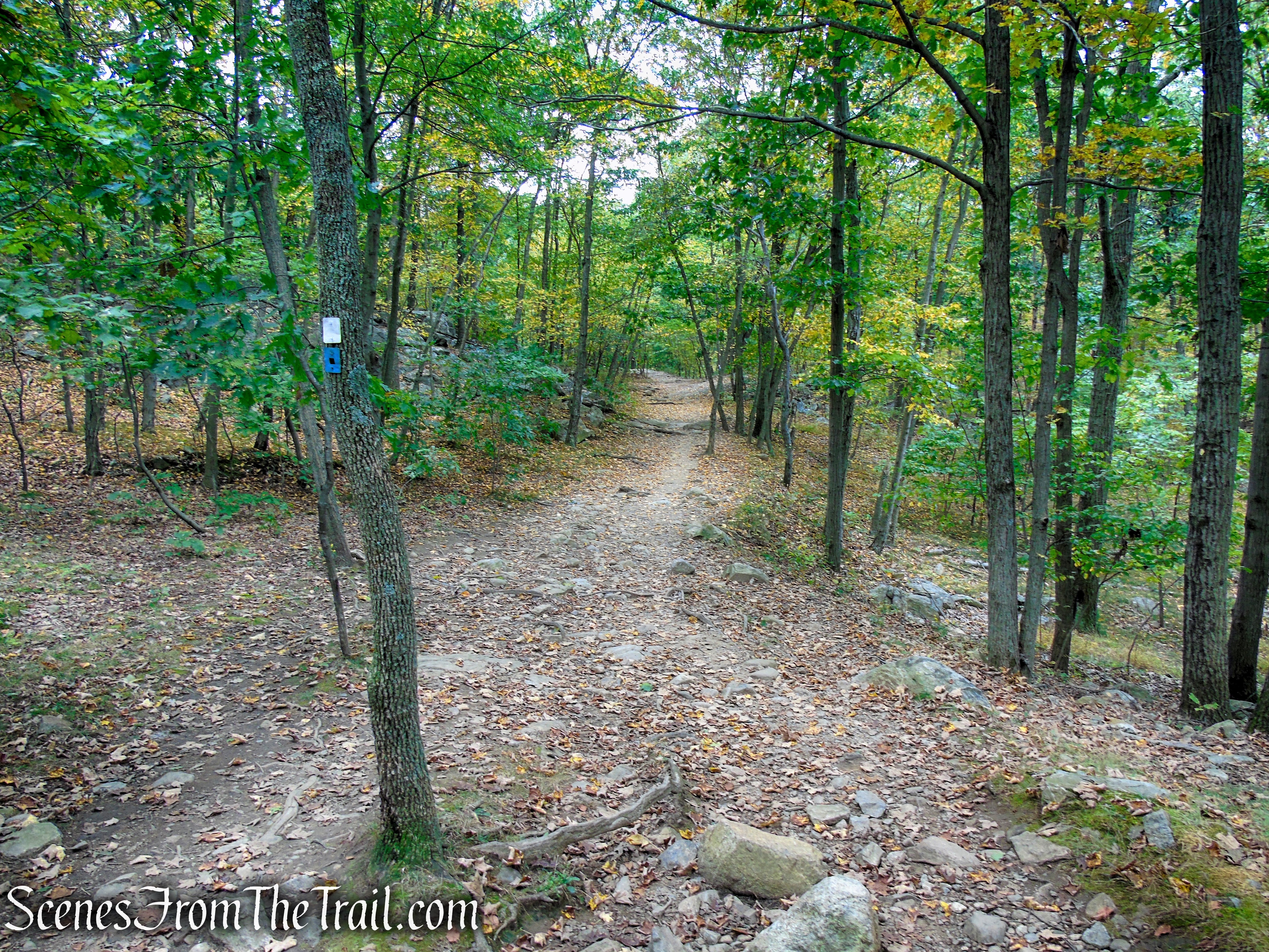 Ramapo Lake Loop - Ramapo Mountain State Forest