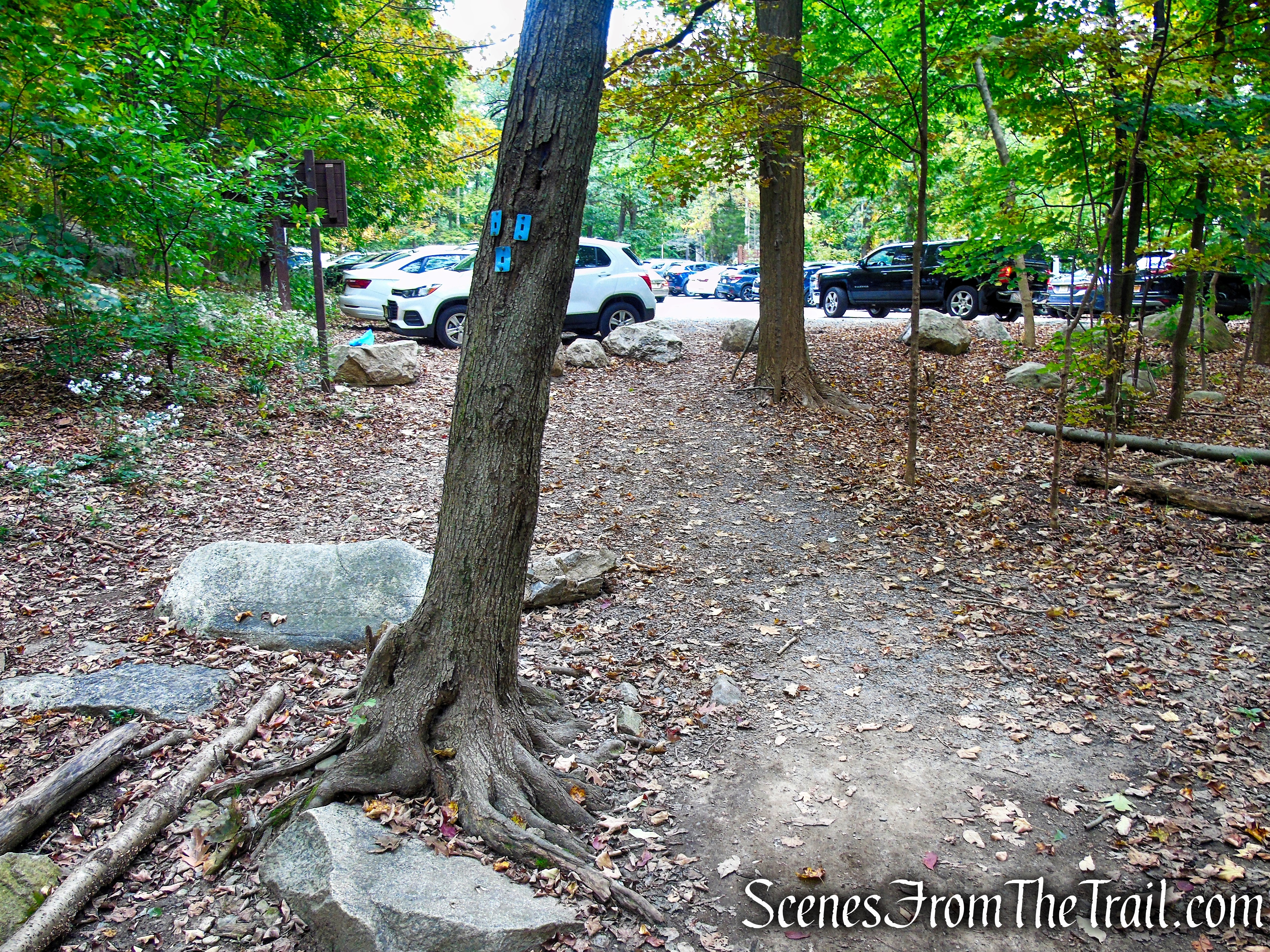 Ramapo Lake Loop - Ramapo Mountain State Forest