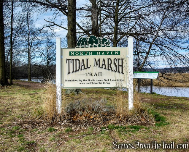 Tidal Marsh Trail - North Haven