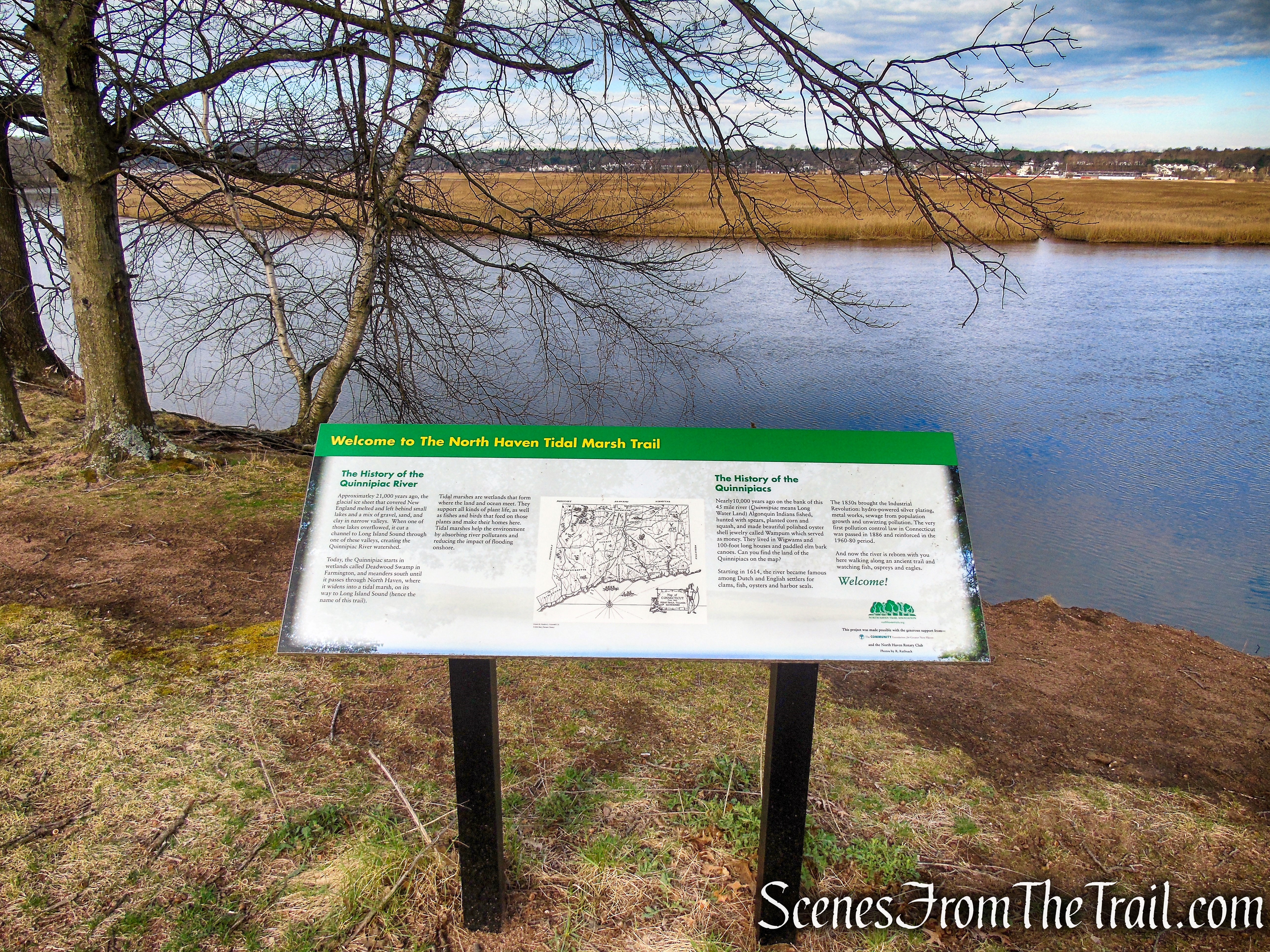 Tidal Marsh Trail - North Haven