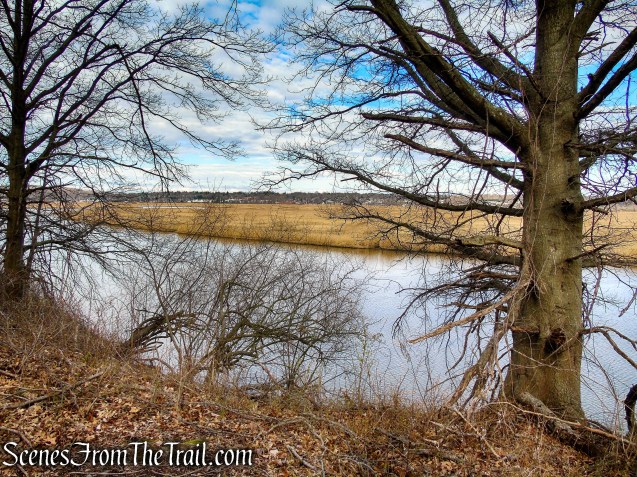 Tidal Marsh Trail - North Haven