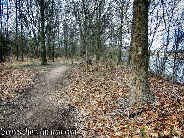 Tidal Marsh Trail - North Haven