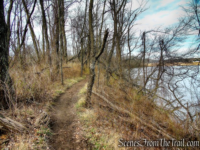 Tidal Marsh Trail - North Haven