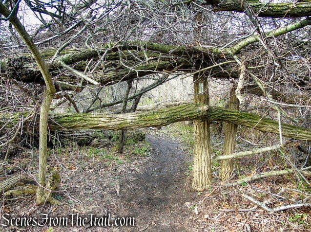 Tidal Marsh Trail - North Haven
