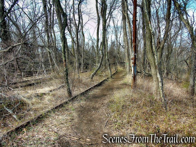 Tidal Marsh Trail - North Haven