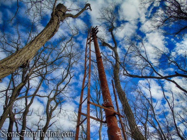 Tidal Marsh Trail - North Haven