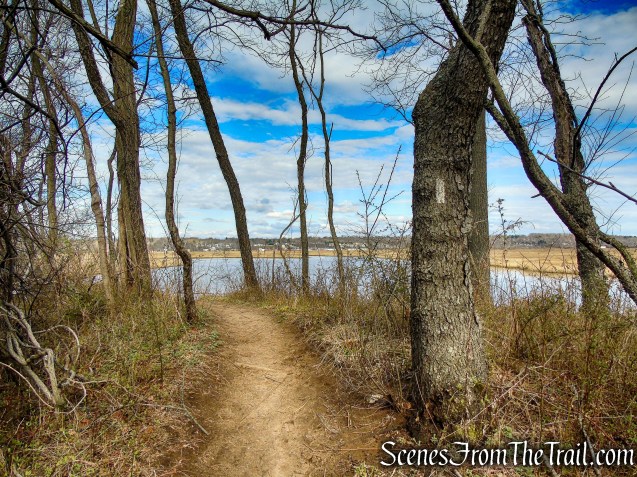 Tidal Marsh Trail - North Haven
