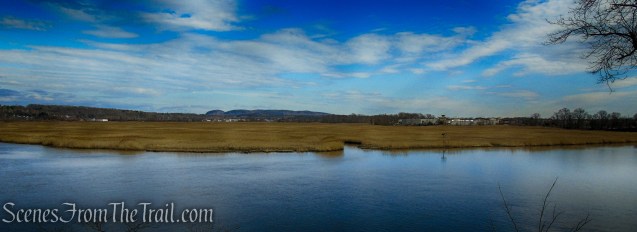 Tidal Marsh Trail - North Haven