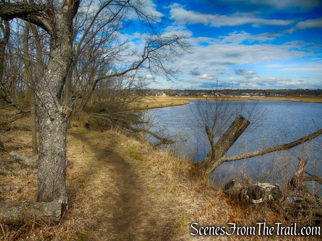 Tidal Marsh Trail - North Haven
