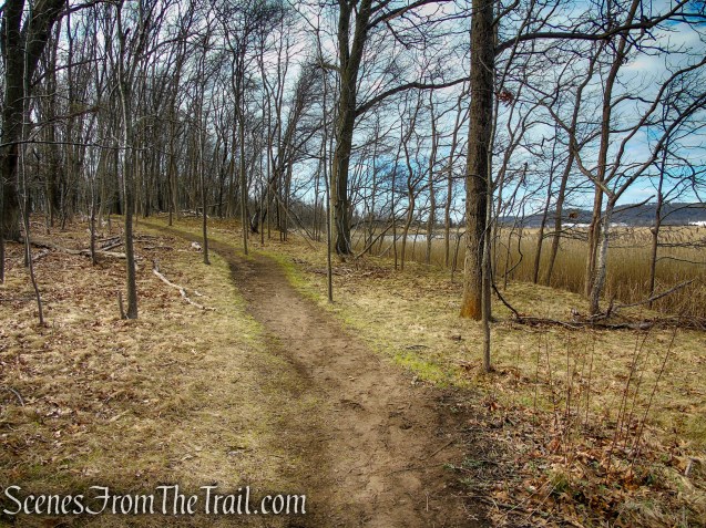 Tidal Marsh Trail - North Haven