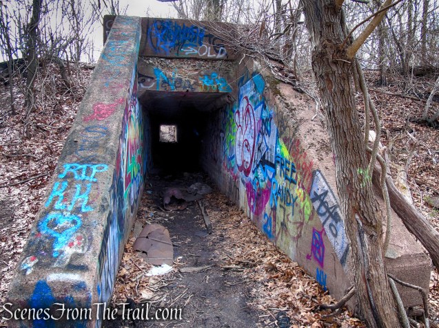 Tidal Marsh Trail - North Haven