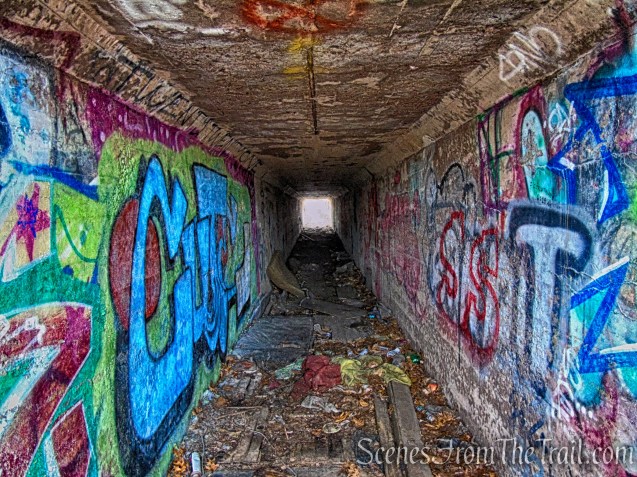 Tidal Marsh Trail - North Haven