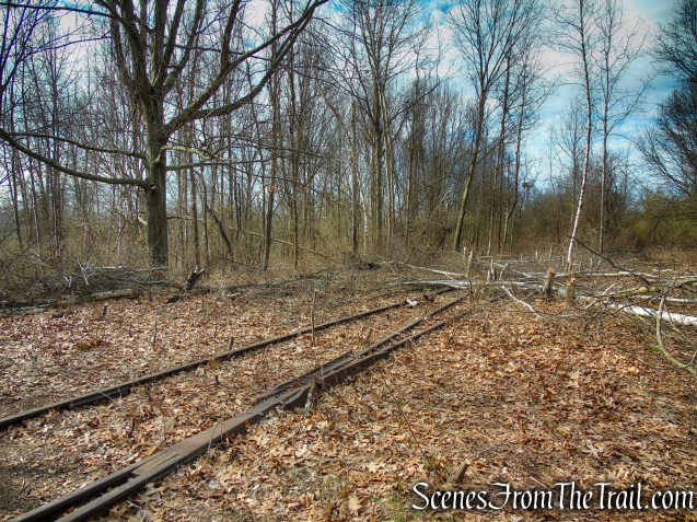 Tidal Marsh Trail - North Haven