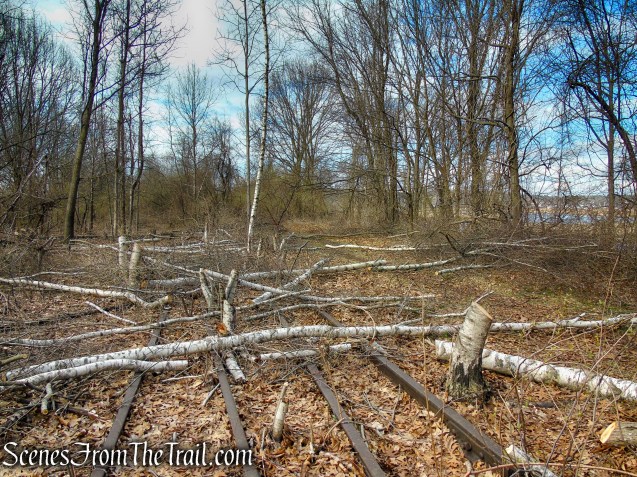 Tidal Marsh Trail - North Haven