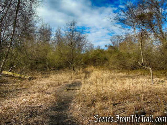 Tidal Marsh Trail - North Haven