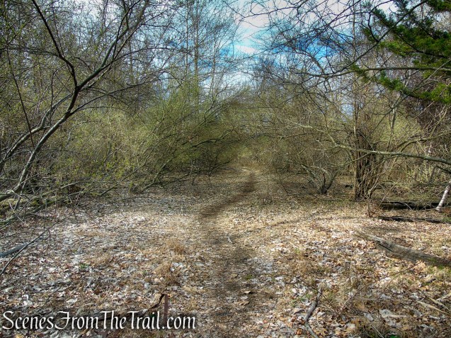 Tidal Marsh Trail - North Haven