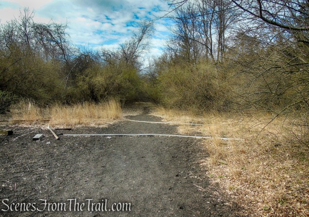 Tidal Marsh Trail - North Haven