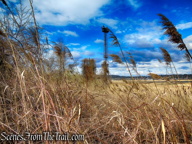 Tidal Marsh Trail - North Haven
