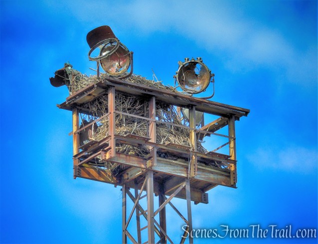 Tidal Marsh Trail - North Haven