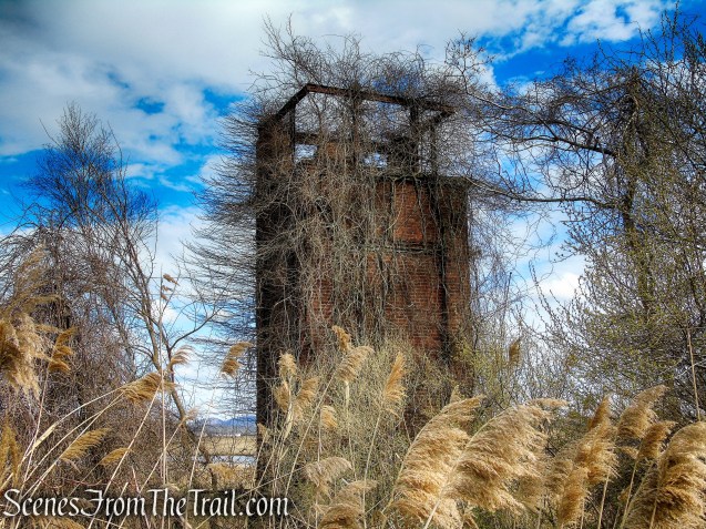 Tidal Marsh Trail - North Haven