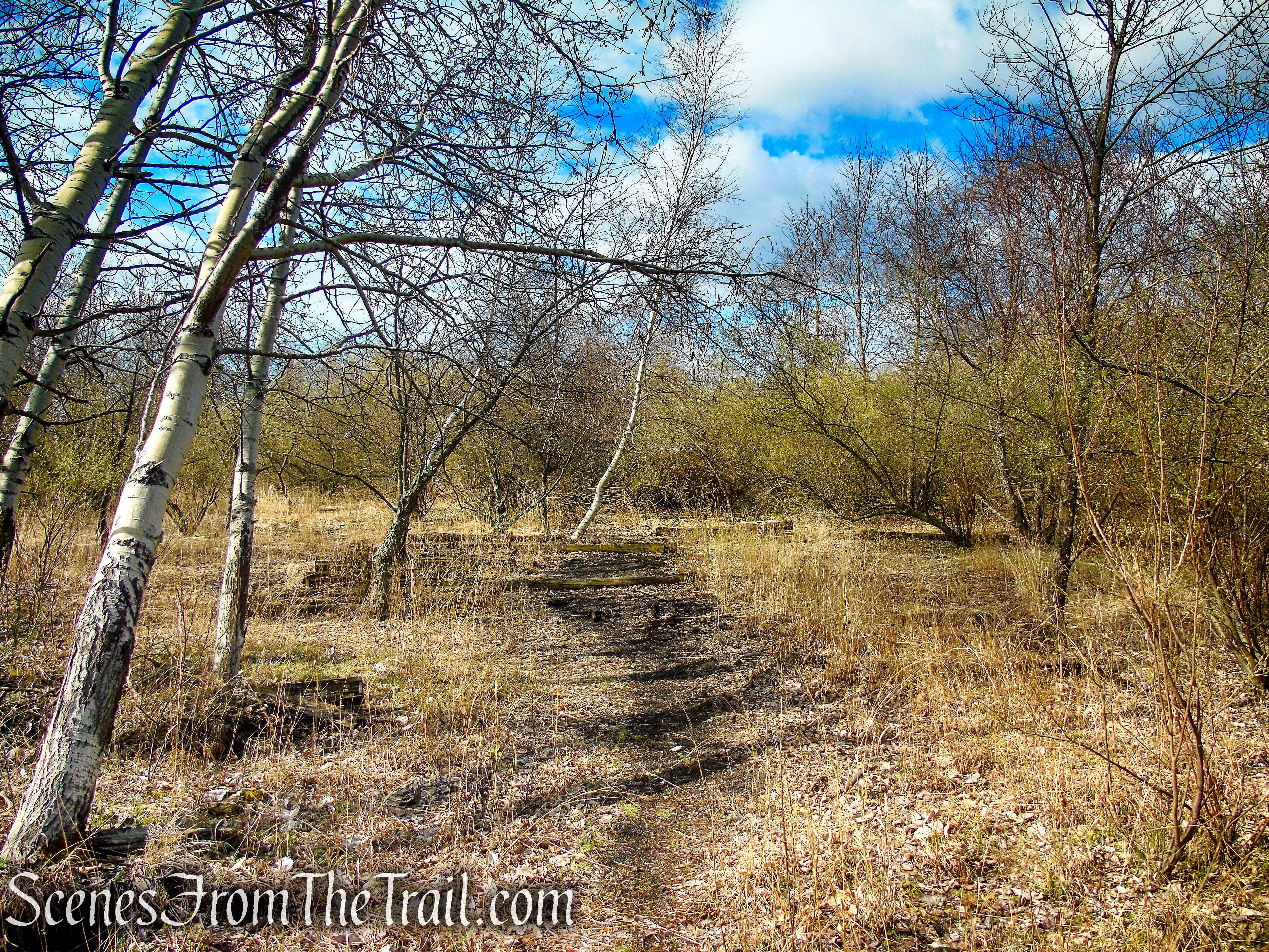Tidal Marsh Trail - North Haven