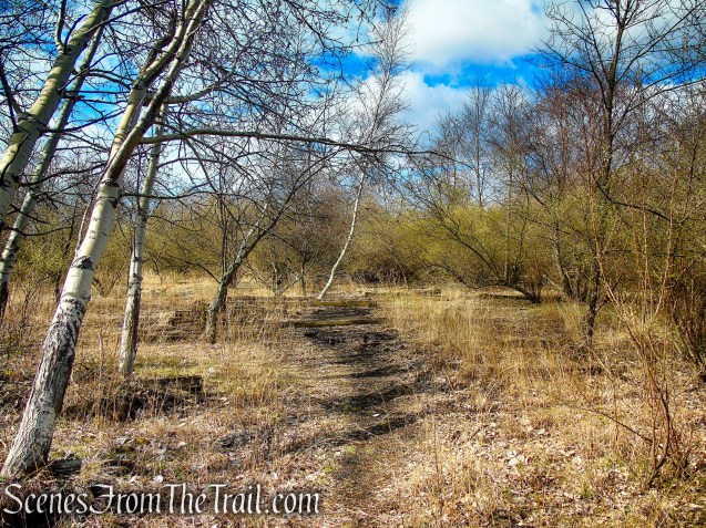 Tidal Marsh Trail - North Haven