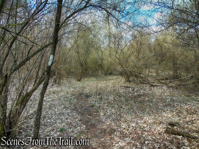 Tidal Marsh Trail - North Haven