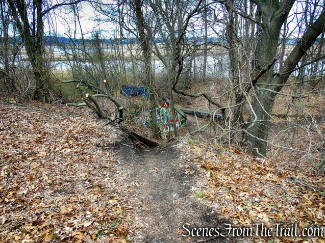 Tidal Marsh Trail - North Haven