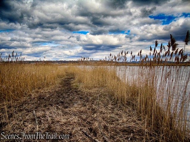 Tidal Marsh Trail - North Haven