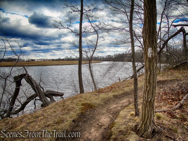 Tidal Marsh Trail - North Haven