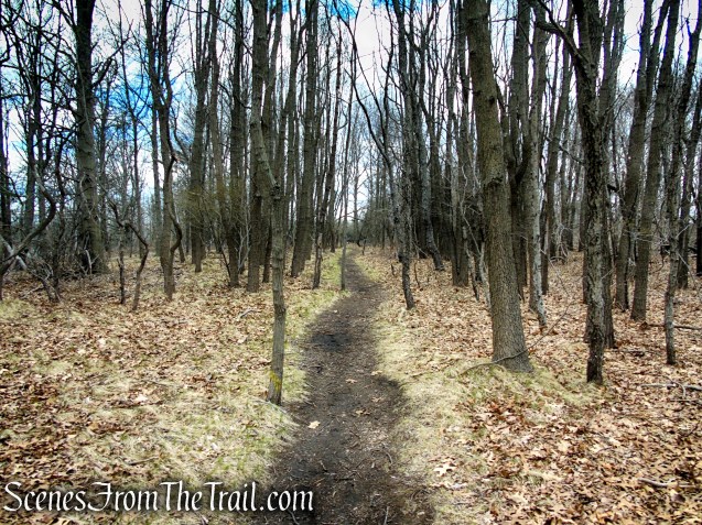 Tidal Marsh Trail - North Haven