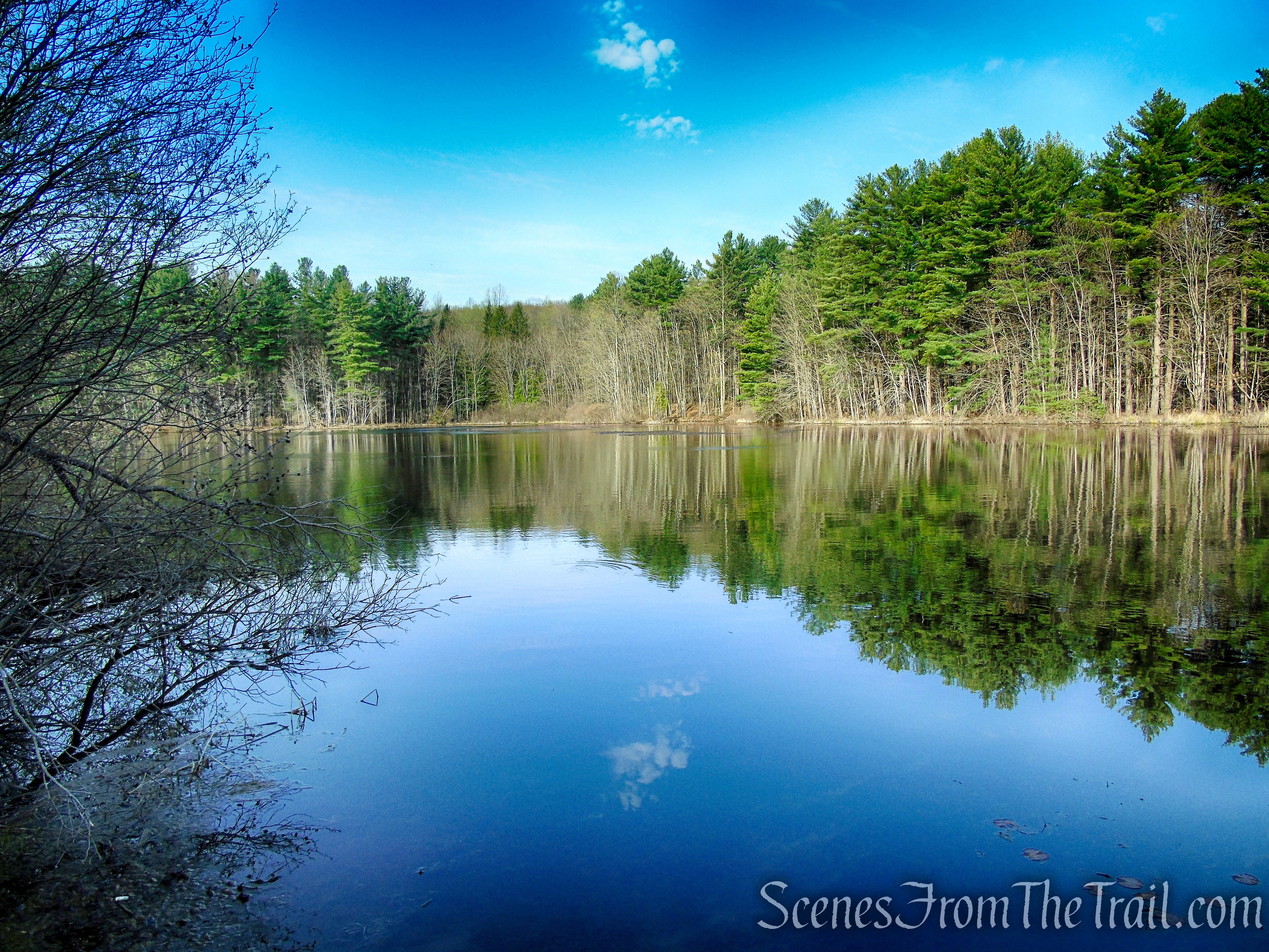 Lake Wintergreen - West Rock Ridge State Park