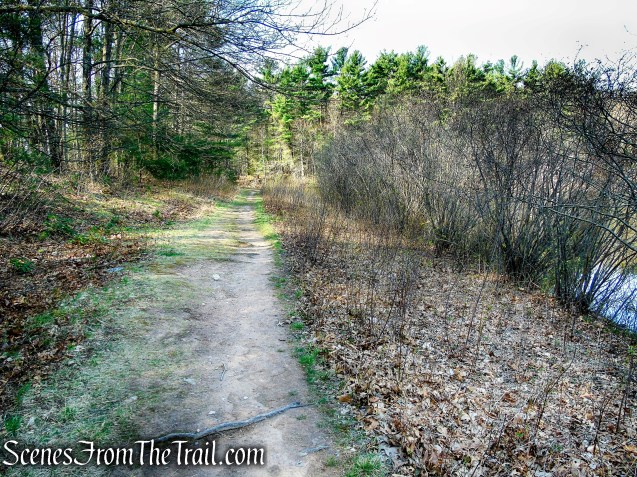 unmarked trail along Lake Wintergreen