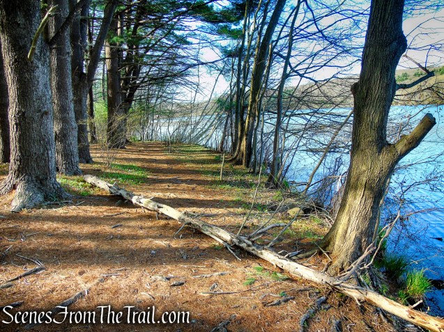 unmarked trail along Lake Wintergreen