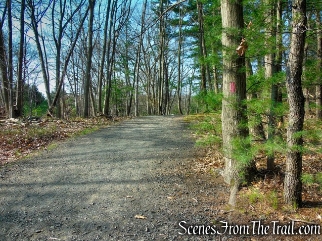 Red Trail - West Rock Ridge State Park