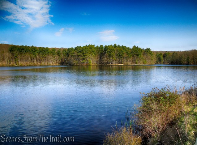 Lake Wintergreen - West Rock Ridge State Park
