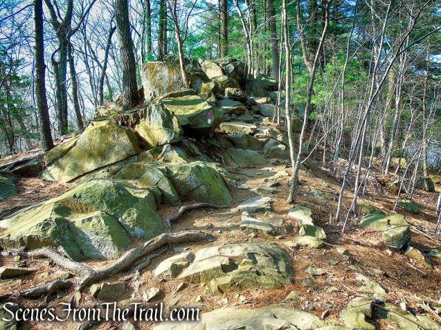 Red/White Trail - West Rock Ridge State Park