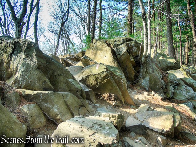 Red/White Trail - West Rock Ridge State Park