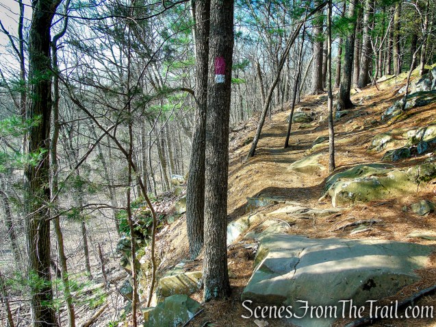 Red/White Trail - West Rock Ridge State Park