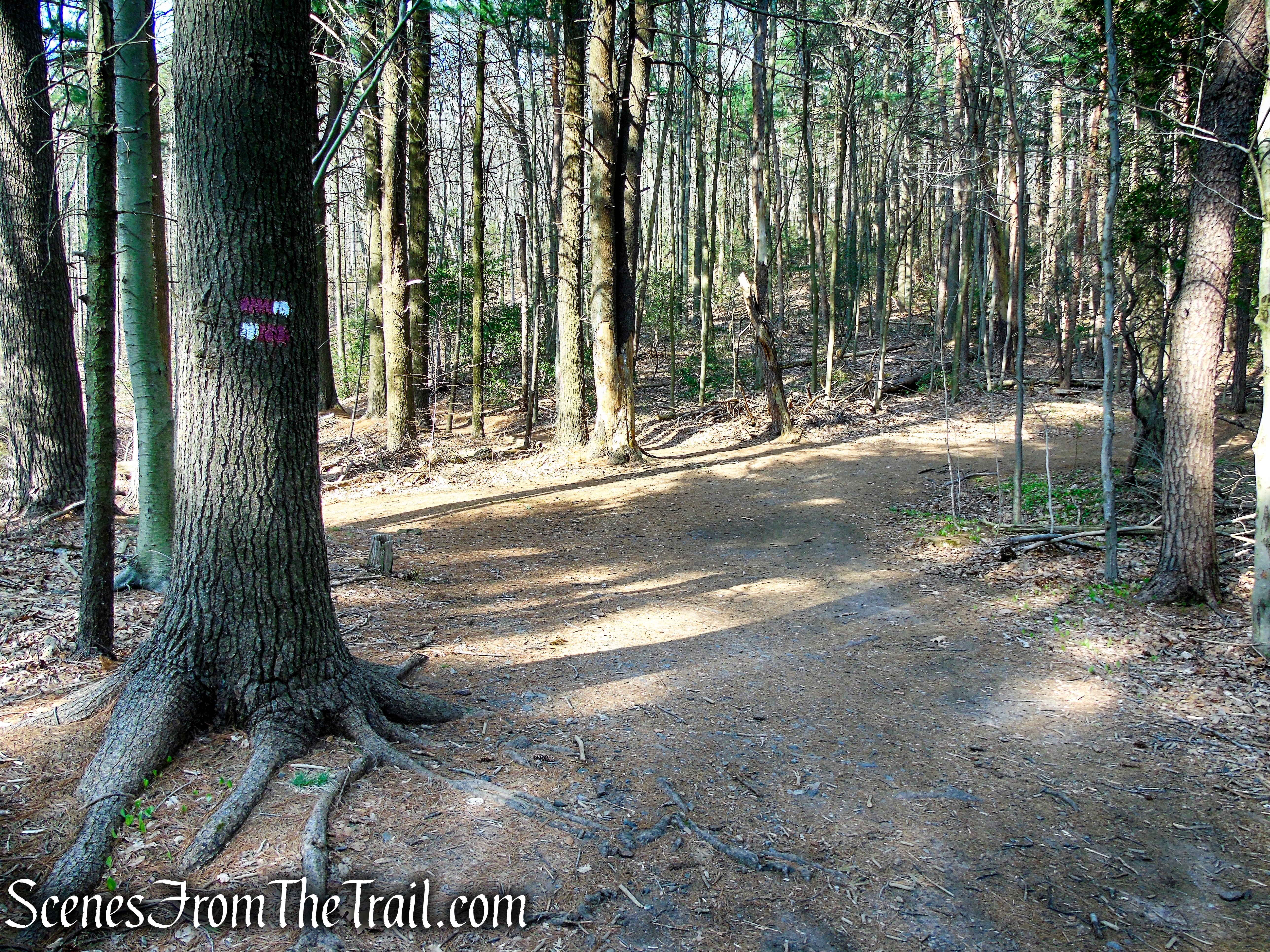 terminus of Red/White Trail