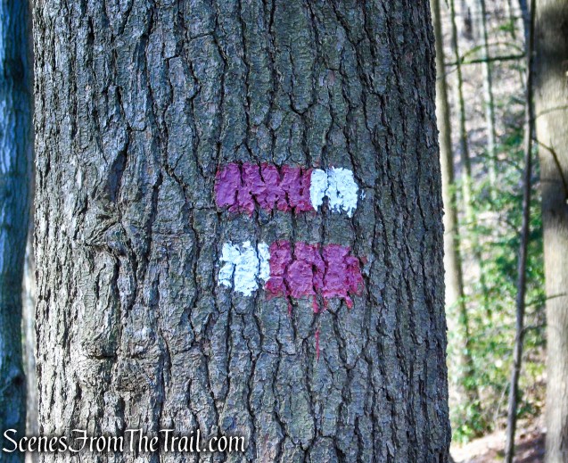 Red/White Trail - West Rock Ridge State Park