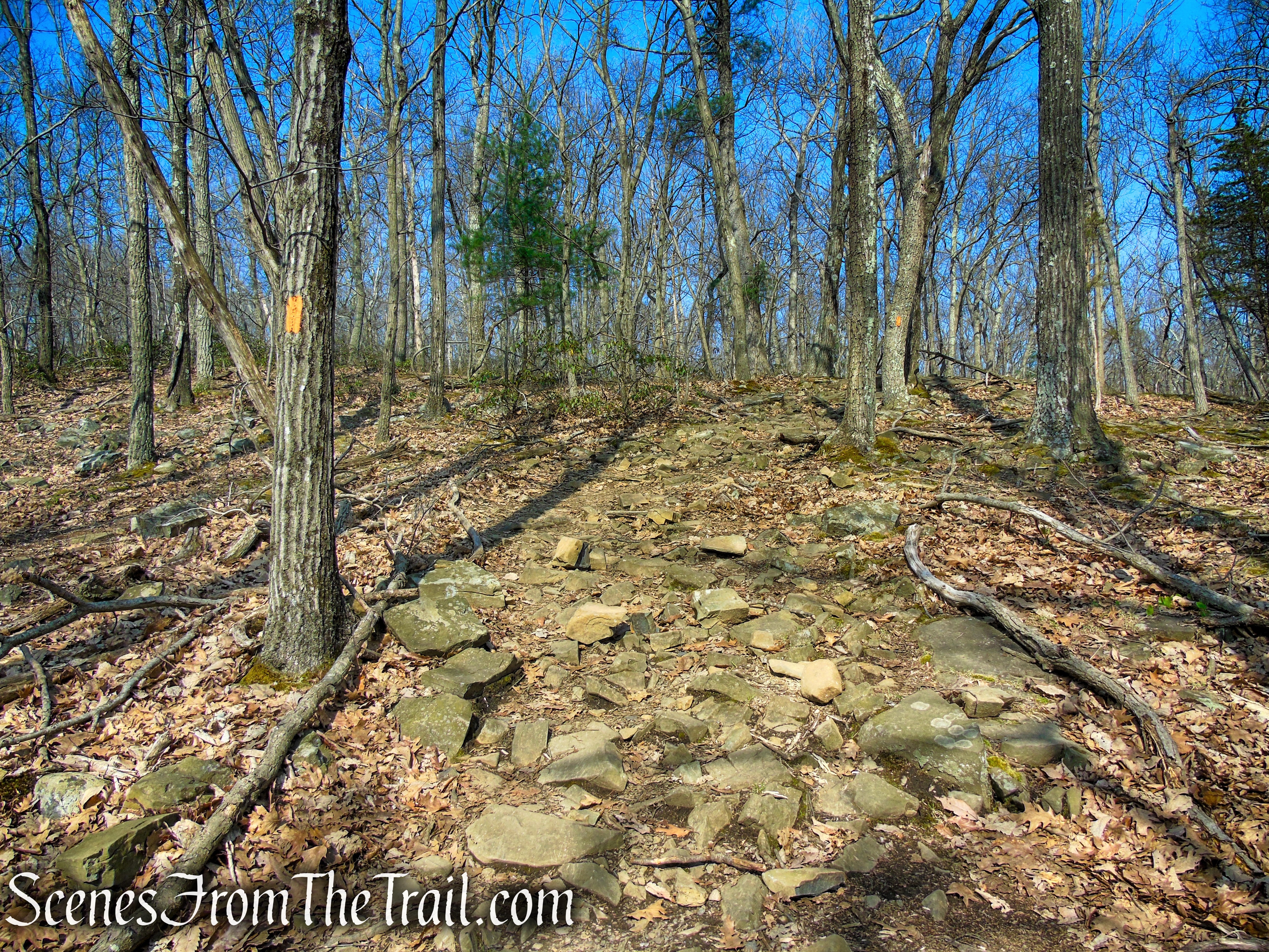Orange Trail - West Rock Ridge State Park