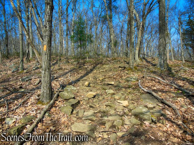 Orange Trail - West Rock Ridge State Park